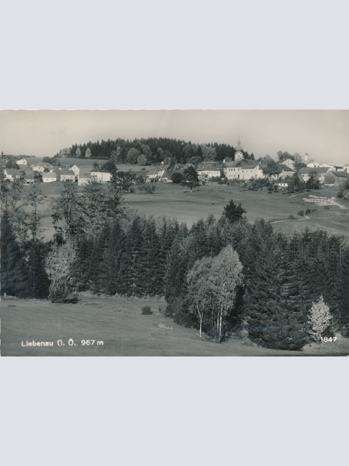 AK aus Liebenau Oberösterreich Ansichtskarte (12882)