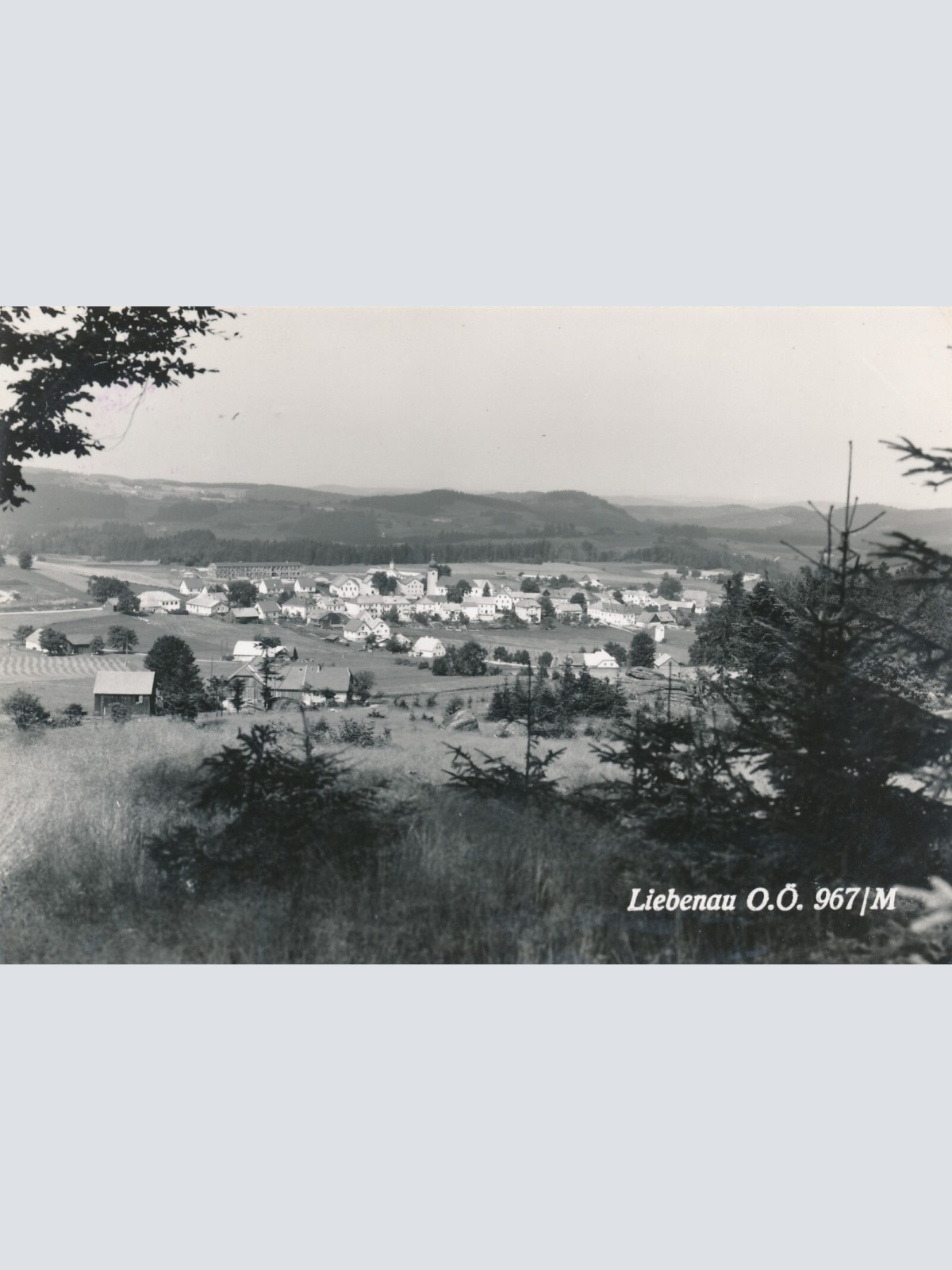 AK aus Liebenau Oberösterreich Ansichtskarte (12888)