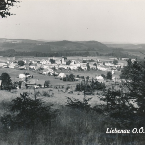 AK aus Liebenau Oberösterreich Ansichtskarte (12888)