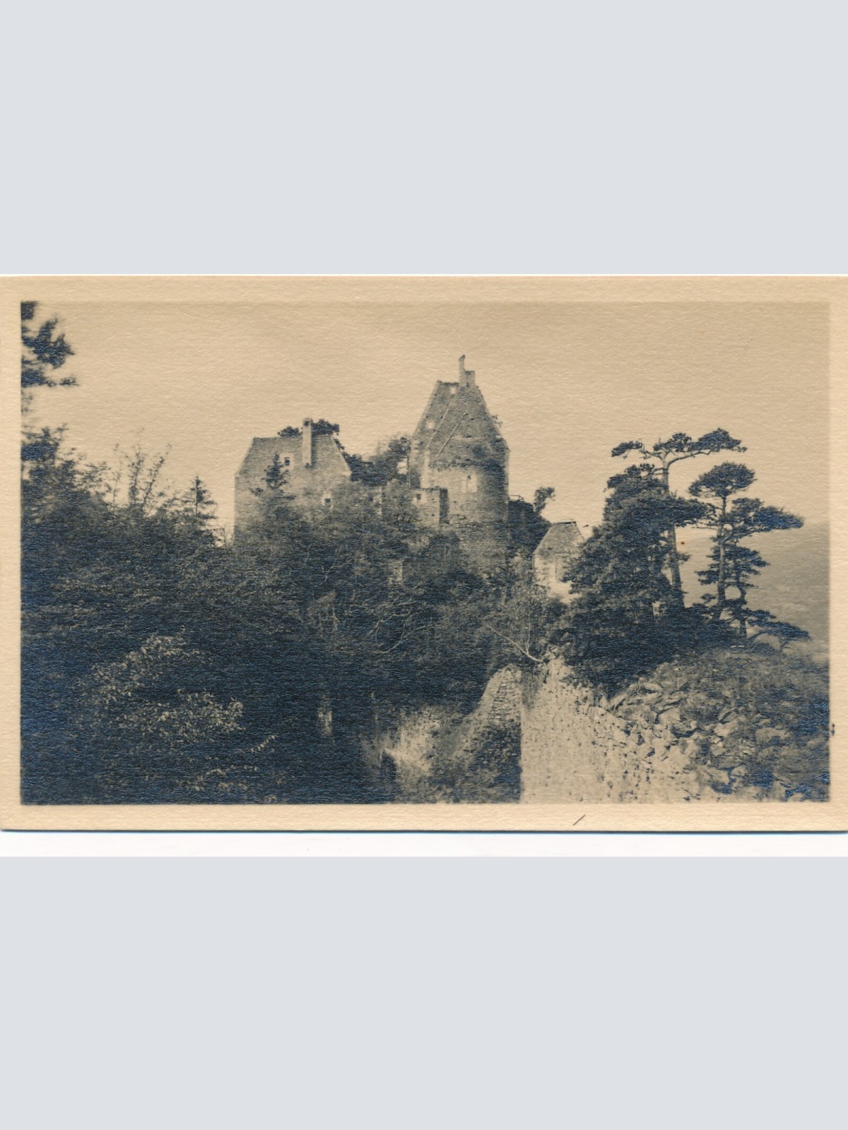 AK von der Ruine Aggstein Niederösterreich Ansichtskarte (12703)