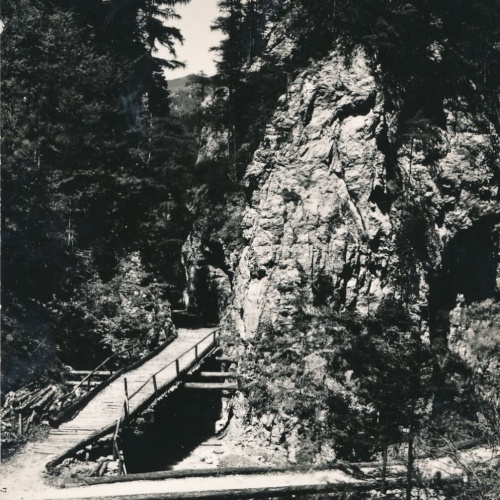 AK, Fölzklamm bei Aflenz, Steiermark (S2959)