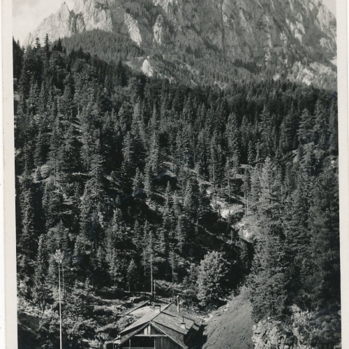 AK Schwabenbartel Fölz Steiermark Ansichtskarte (13116)