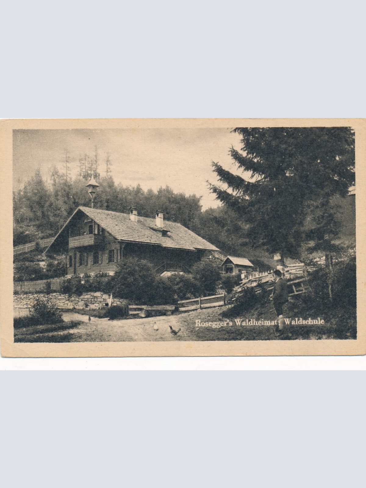 AK vom Roseggers Waldheimat Steiermark Ansichtskarte (13149)