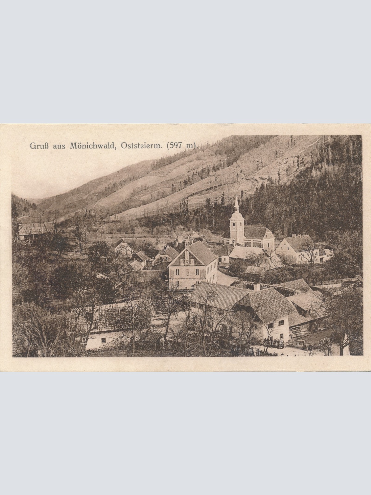 AK aus Mönichwald Steiermark Ansichtskarte (13151)