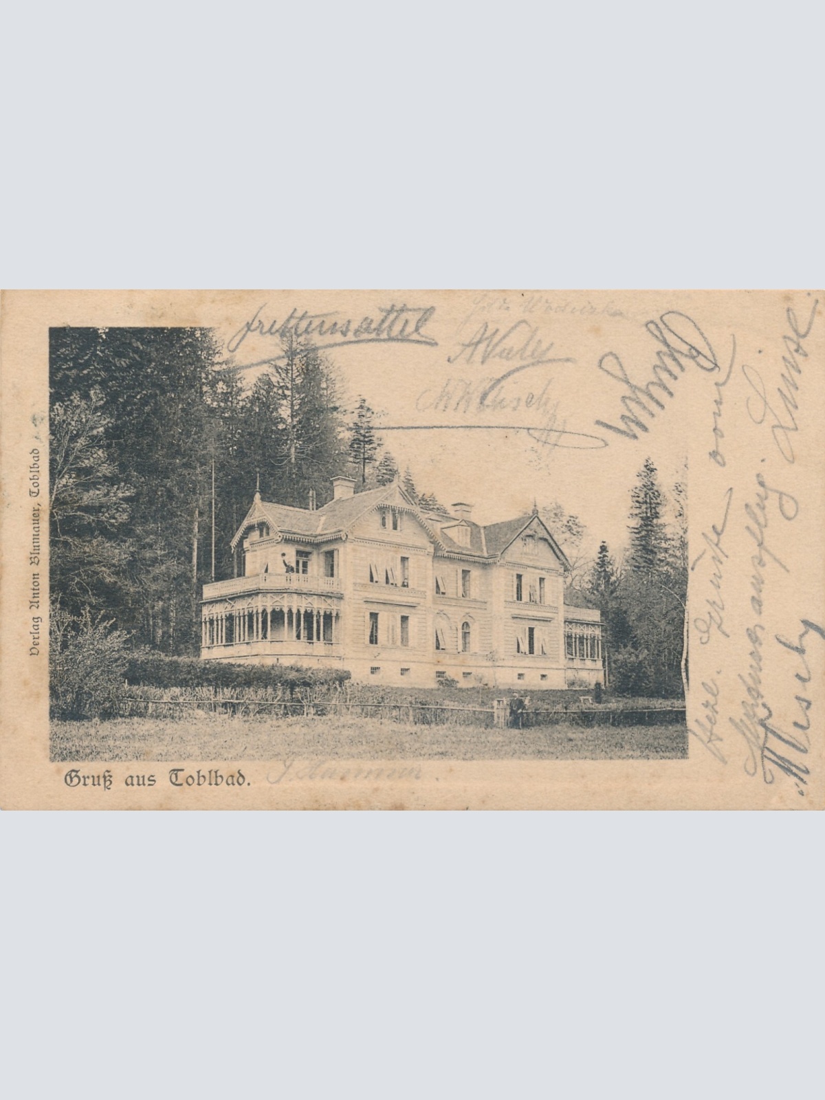 AK gruss aus Tolbad Steiermark Ansichtskarte (12763)