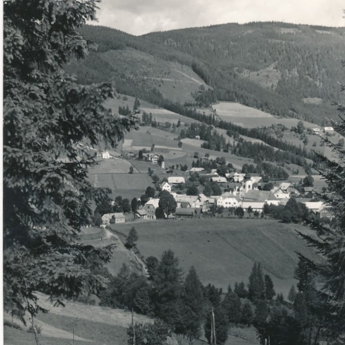 AK aus Fischbach Steiermark Ansichtskarte (13188)