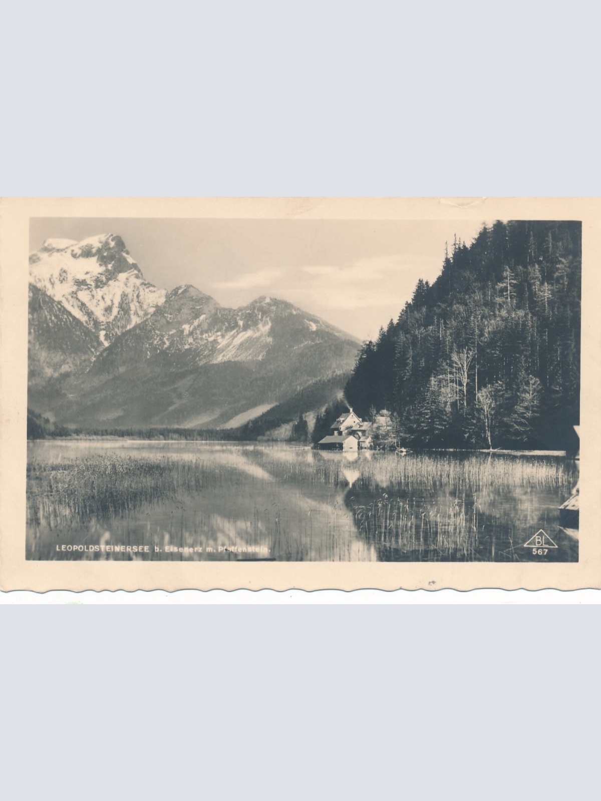 AK vom Leopoldsteiner - See Steiermark Ansichtskarte (13006)