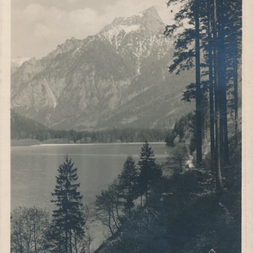 AK vom Leopoldsteinersee Steiermark Ansichtskarte (13053)