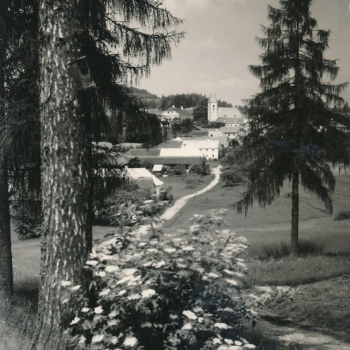 AK aus Grünbach bei Freistadt Oberösterreich Ansichtskarte (12966)