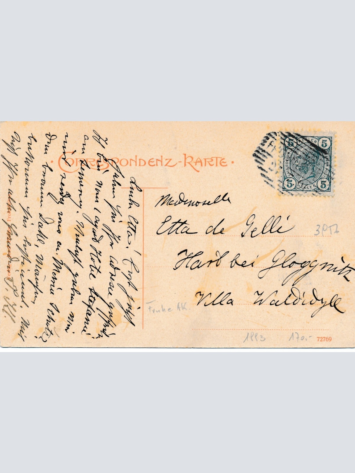 AK aus Frohnleiten Steiermark Ansichtskarte (13489)