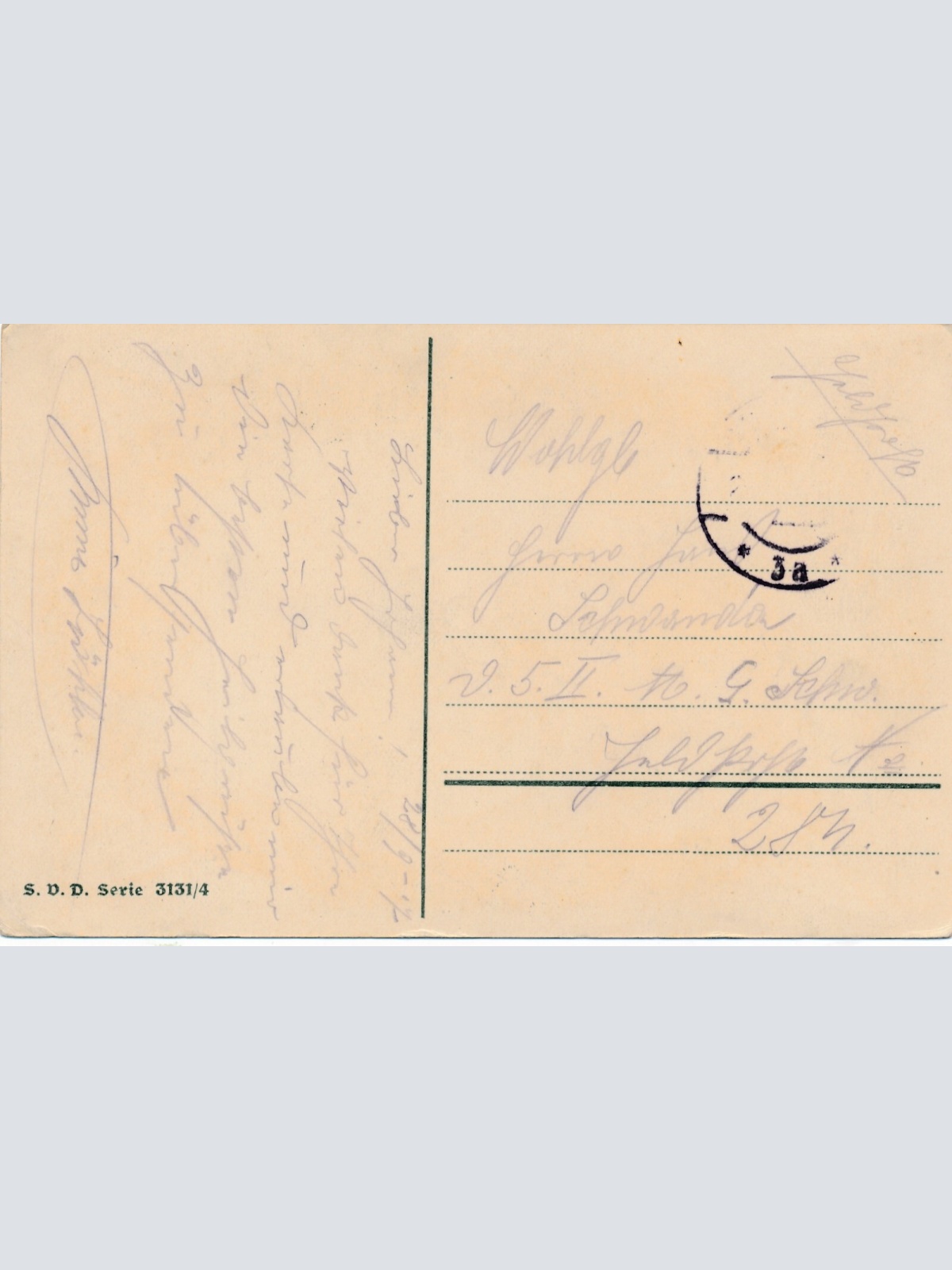 AK Treu und Wahr mit Adler Ansichtskarte (13519)