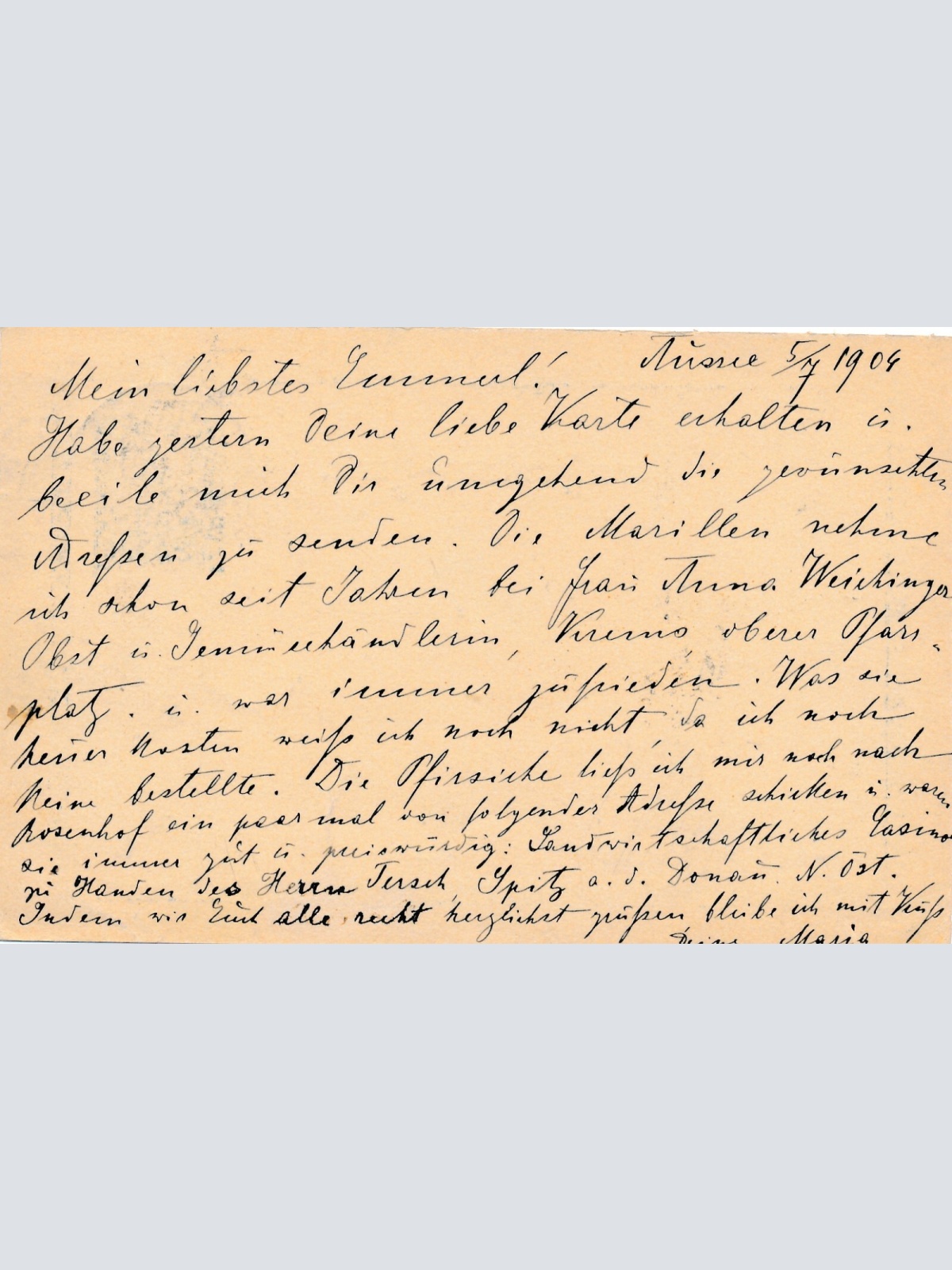 5 Heller - Ganzsachen - Karte 1904 aus Aussee (13364)