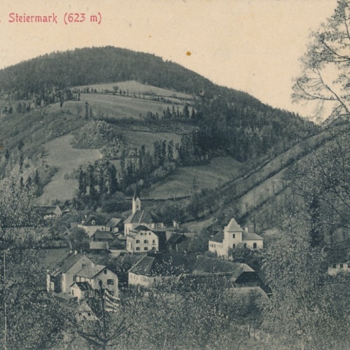 AK aus Waldbach Steiermark Ansichtskarte (13480)