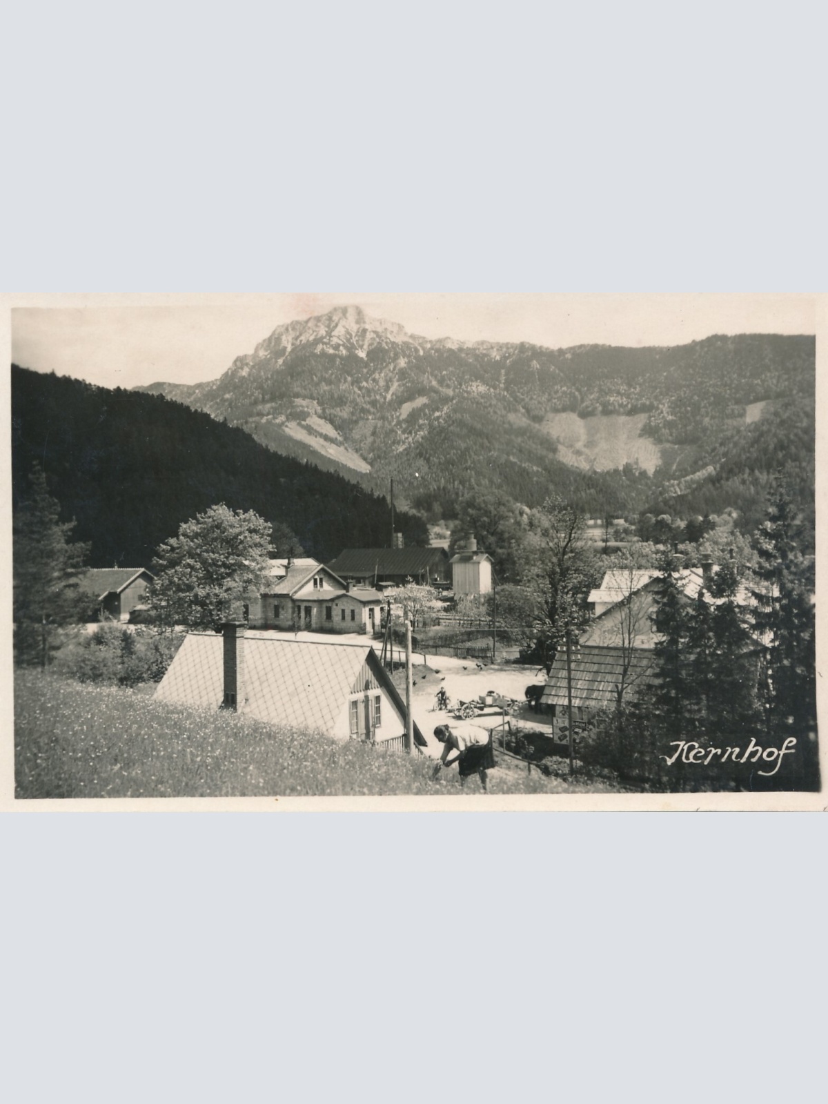 AK, Kernhof, Niederösterreich (S3338)