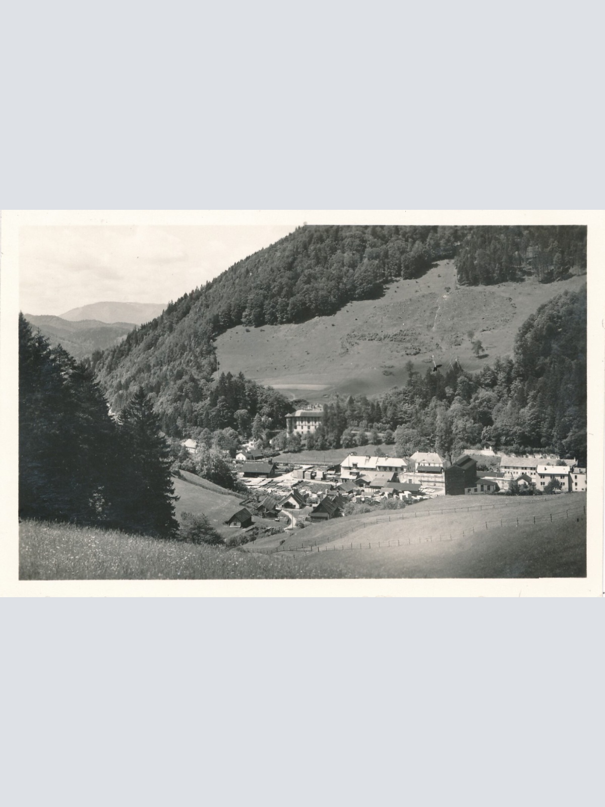 AK, Freiland, Niederösterreich (S3326)