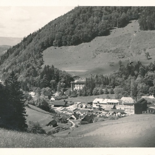 AK, Freiland, Niederösterreich (S3326)