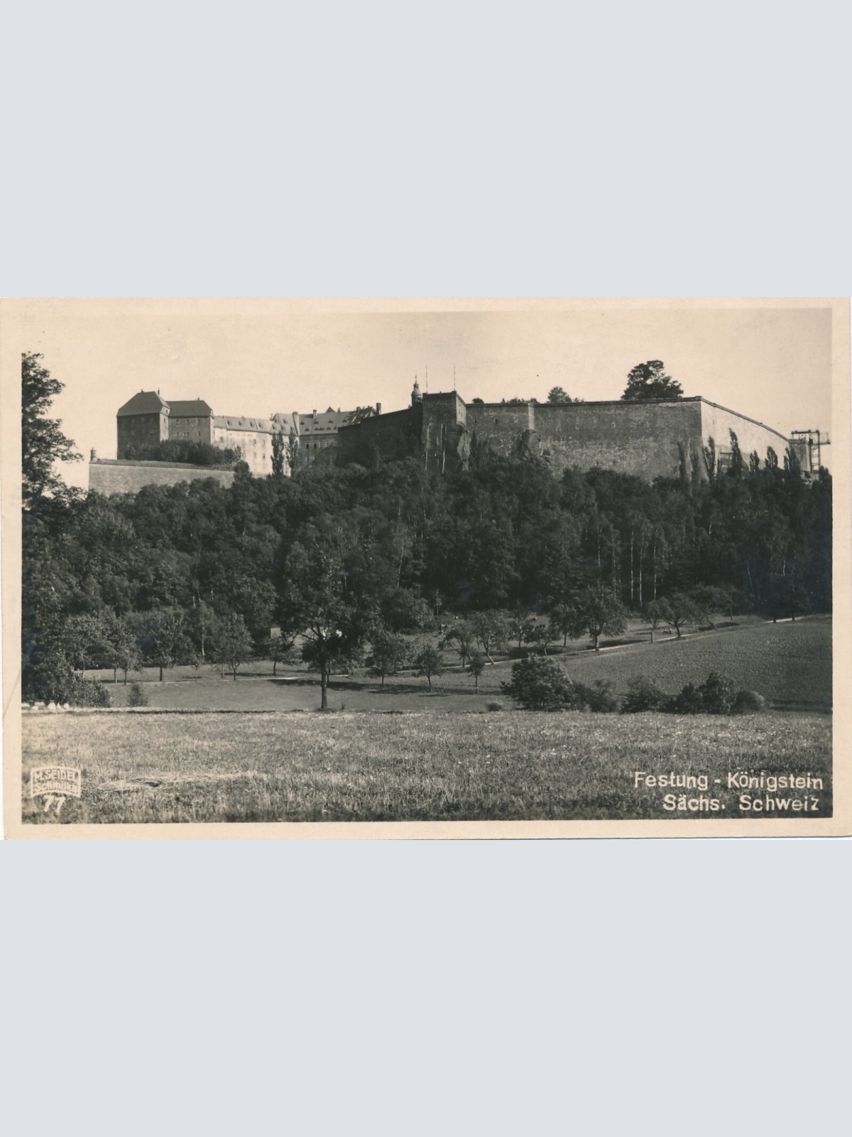 AK, Festung Königstein, Sachsen, Ansichtskarte (S3761)