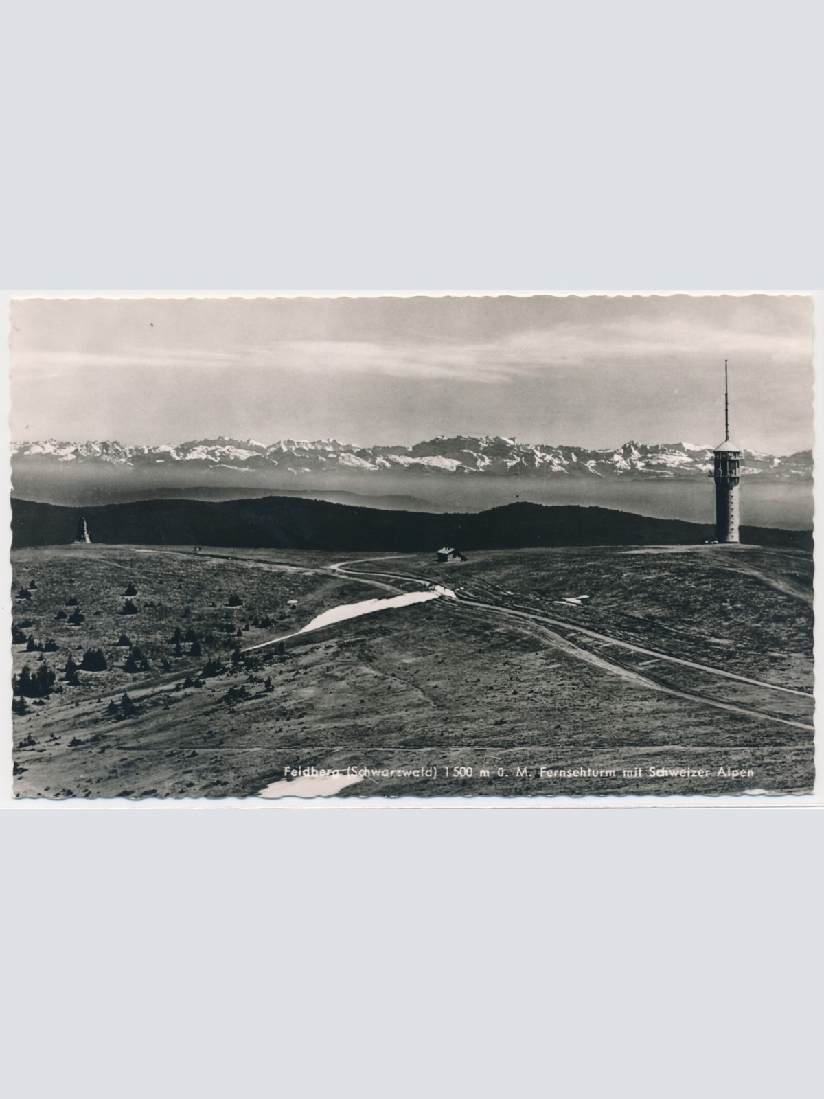 AK, Feldberg, Baden-Württemberg, Ansichtskarte (S3739)