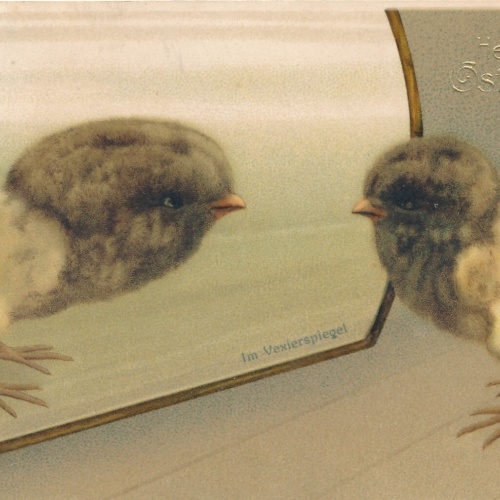 AK, Herzlichen Ostergruß, Küken vor Spiegel, Ansichtskarte (S3677)