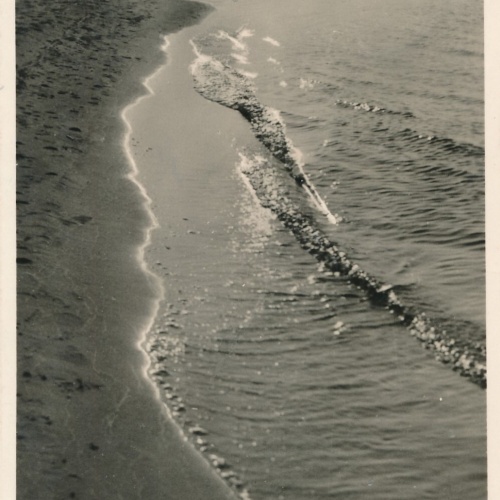 AK, Ostseebad Zingst, Mecklenburg-Vorpommern, Ansichtskarte (S3807)