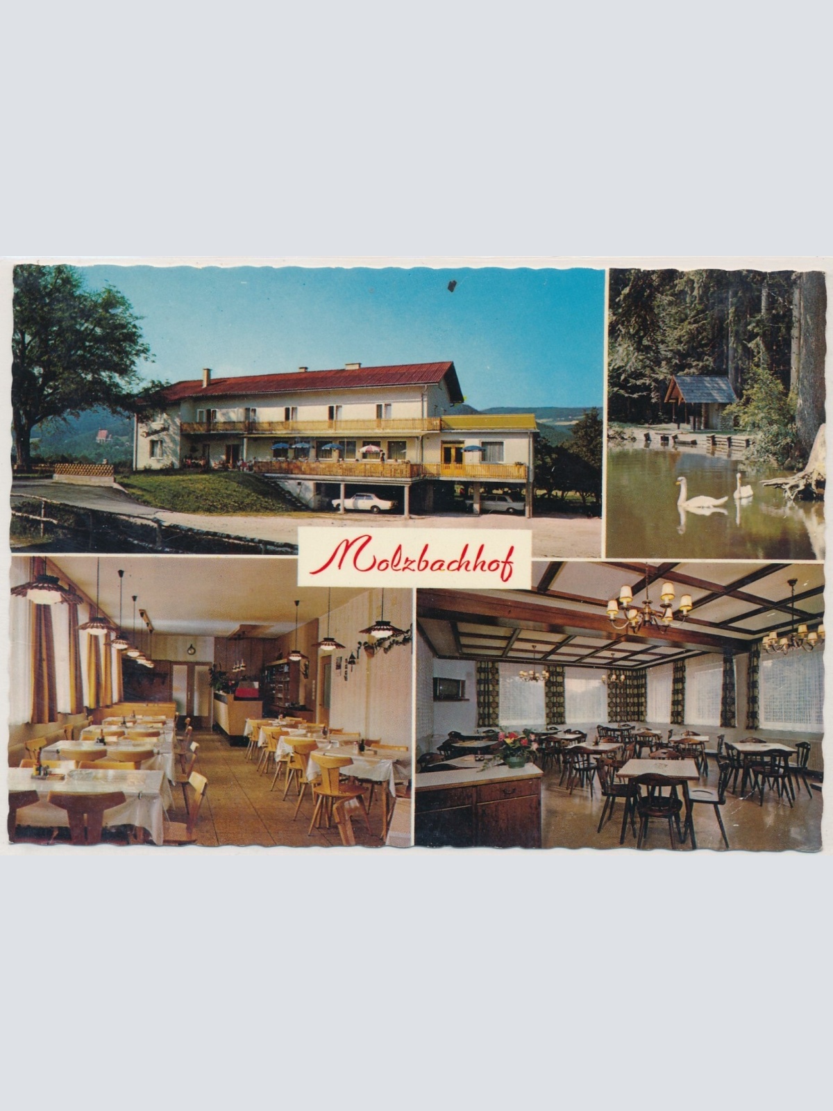 AK, Molzbachhof, Kirchberg am Wechsel, Niederösterreich, Ansichtskarte (S3917)