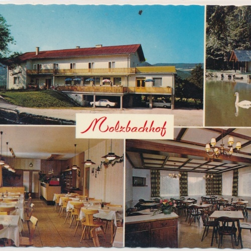 AK, Molzbachhof, Kirchberg am Wechsel, Niederösterreich, Ansichtskarte (S3917)
