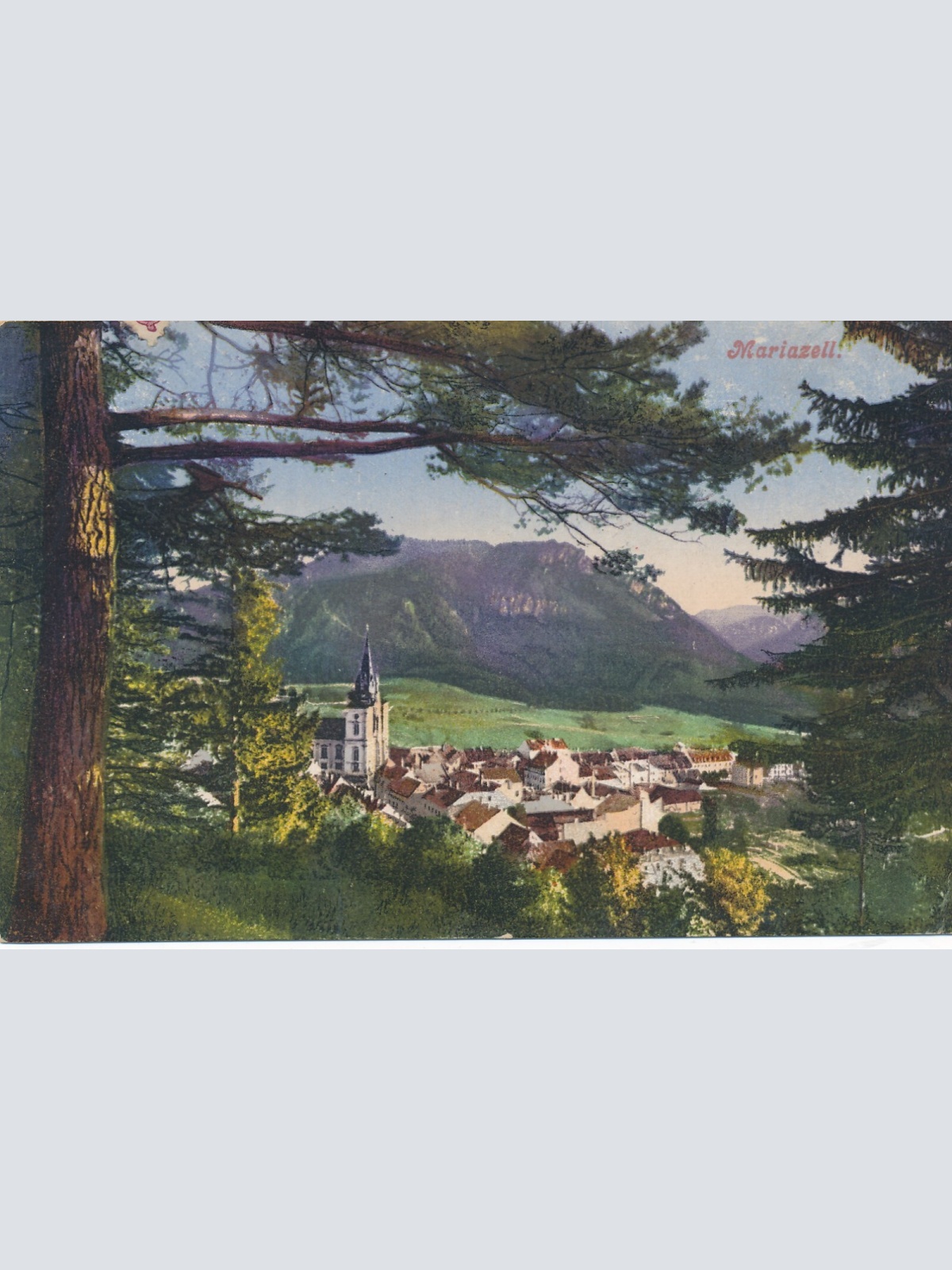 AK aus Mariazell Steiermark Ansichtskarte (13876)