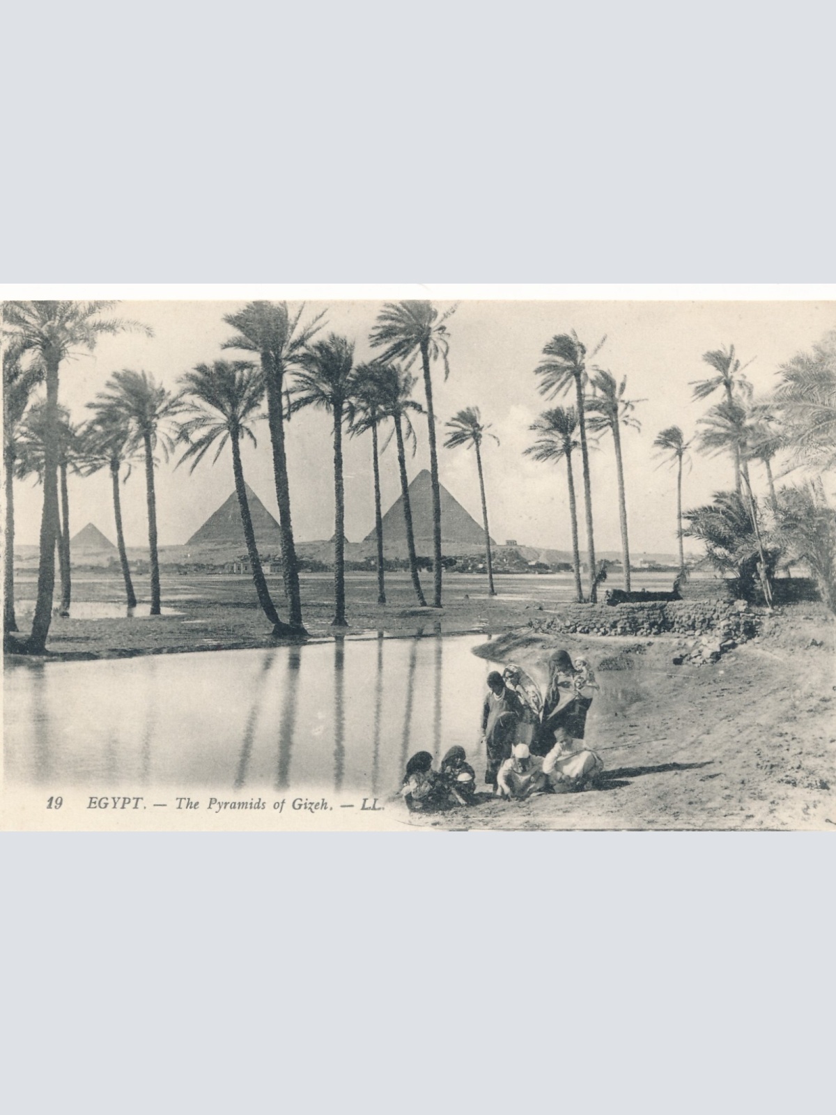 AK, Cairo, Ägypten, Pyramiden von Gizeh, Ansichtskarte (S4102)