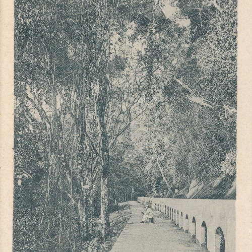 AK, Brasilien, Rio de Janeiro,  Ansichtskarte (S4190)