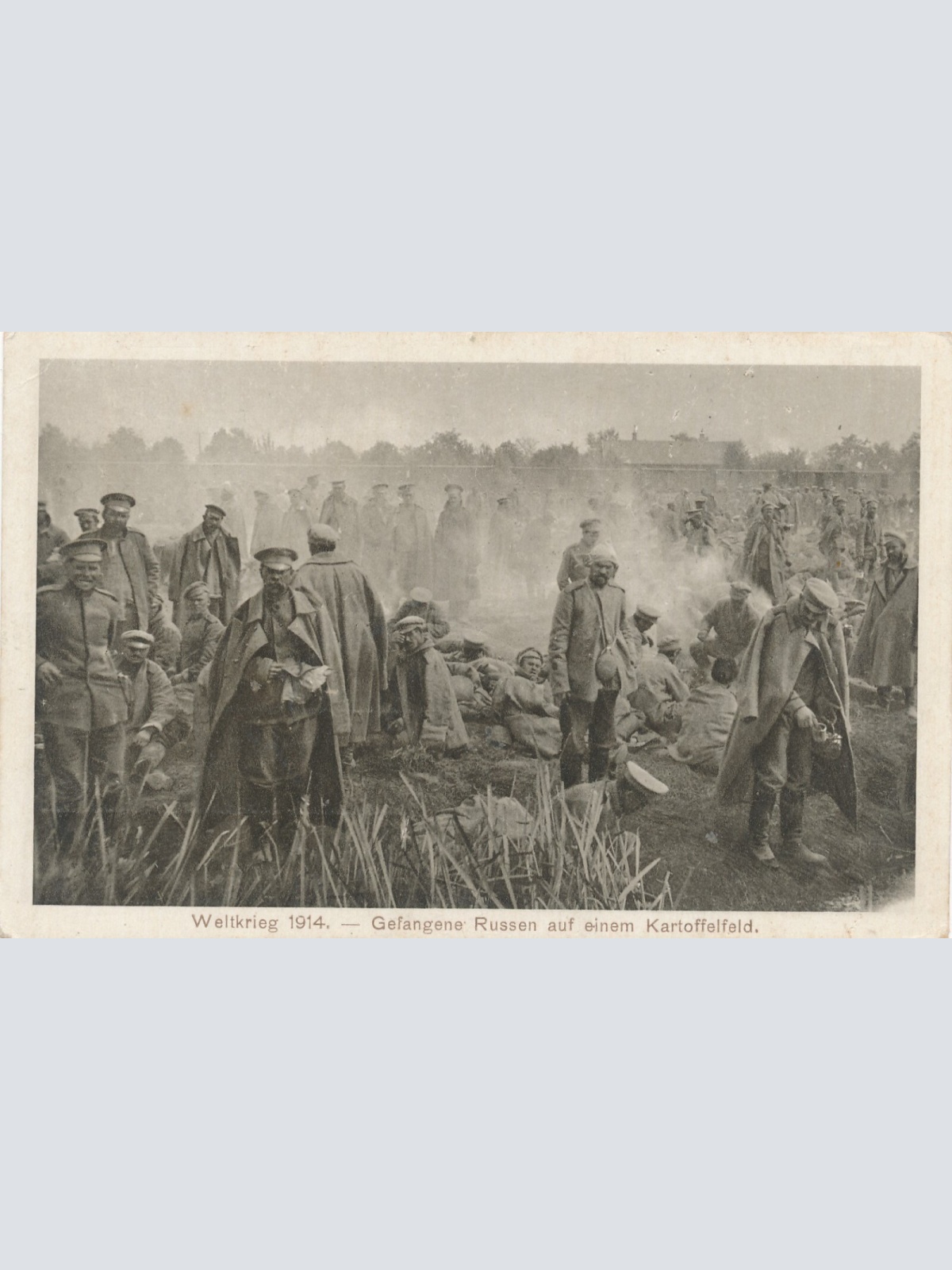 AK Gefangene Russen auf einem Kartoffelfeld Weltkrieg 1914 Ansichtskarte (13318)
