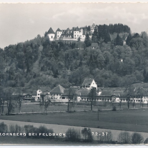 AK, Schloss Kornberg bei Feldbach, Steiermark, Ansichtskarte (S4409)
