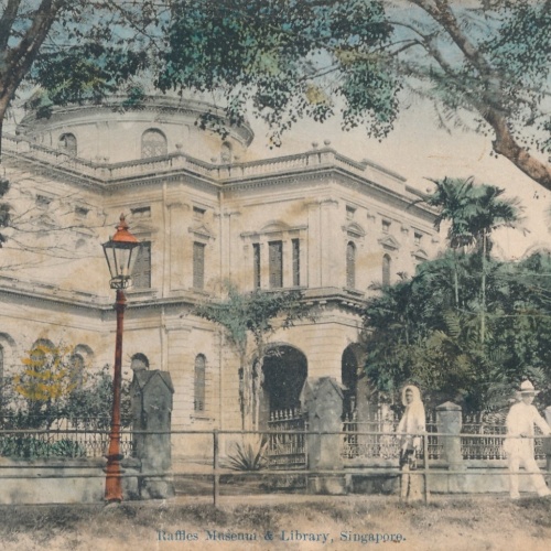 AK, Raffles Museum & Library, Singapore, Ansichtskarte (S4456)