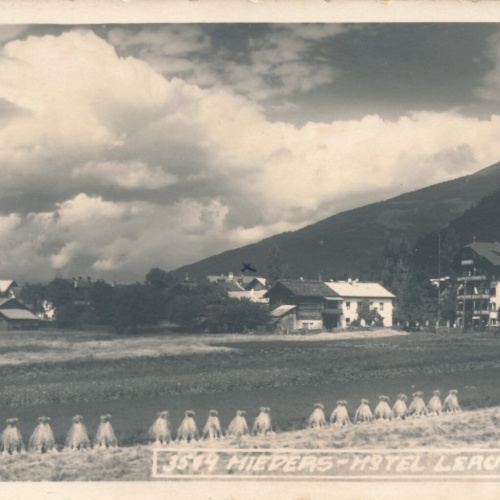 AK, Mieders, Hotel Lerchenhof, Tirol, Ansichtskarte (S4523)