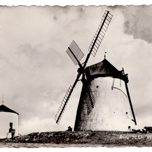 AK, Retz, Niederösterreich, Windmühle, Ansichtskarte (S4708)