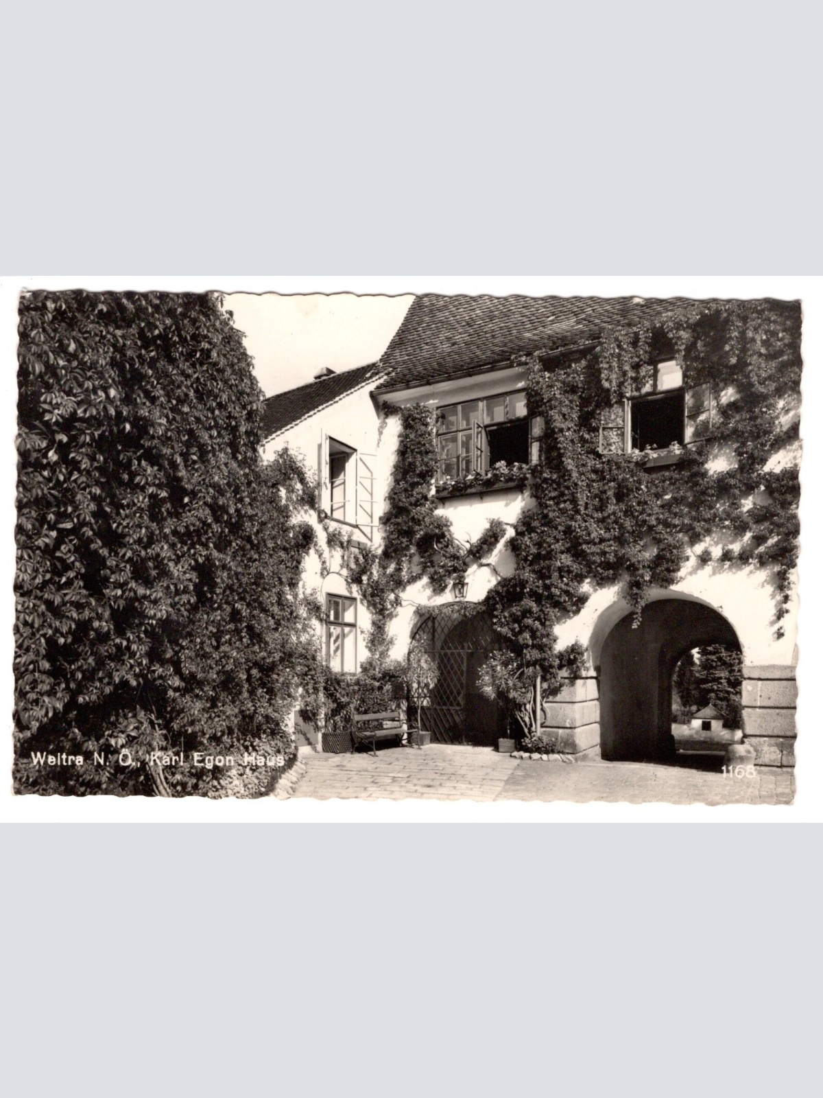 AK, Weitra, Niederösterreich, Egon Haus, Ansichtskarte (S4713)