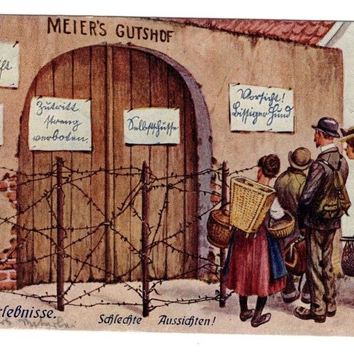 AK, Meiers Gutshof, Hamster Erlebnisse, Ansichtskarte (S5056)