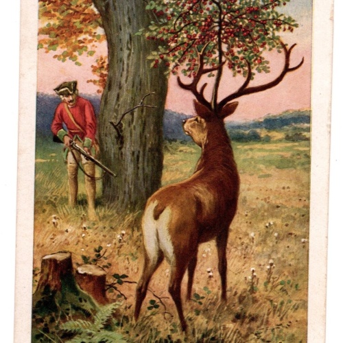 AK, Münchhaufens Abenteuer, Hirsch und Jäger, Ansichtskarte (S5057)