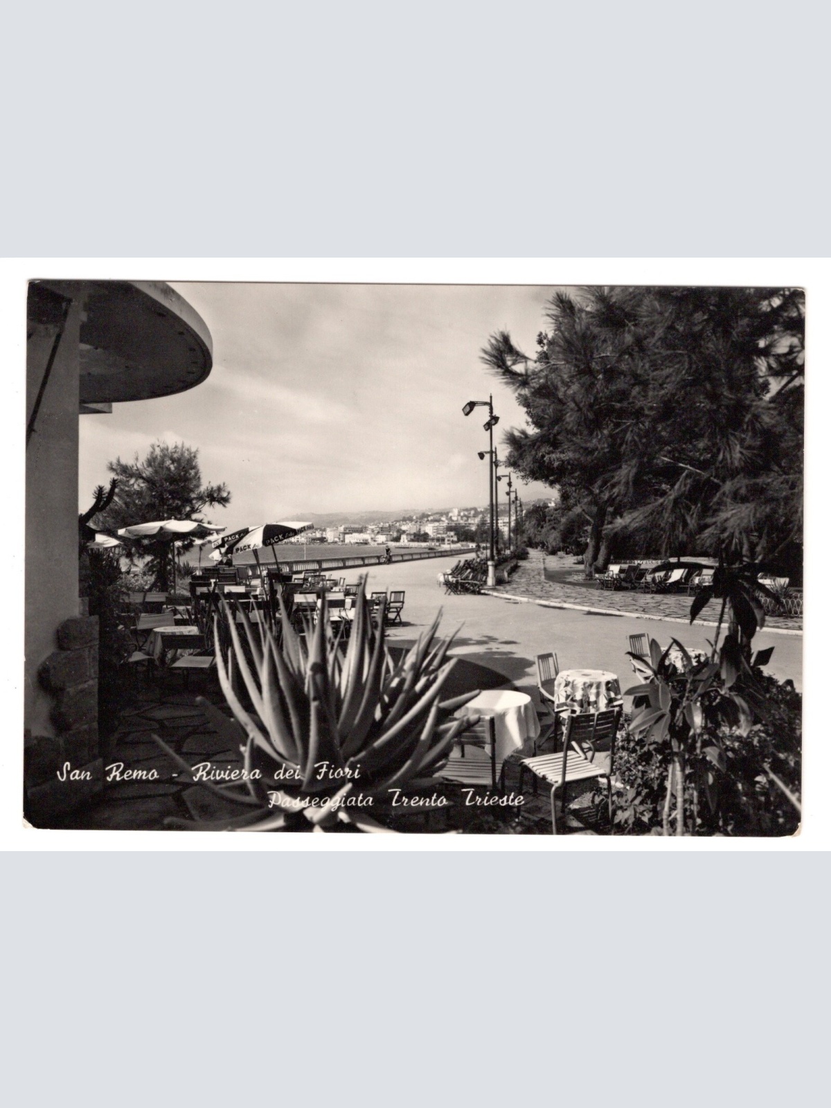 AK, Sanremo, Italien, Ansichtskarte (S5241)