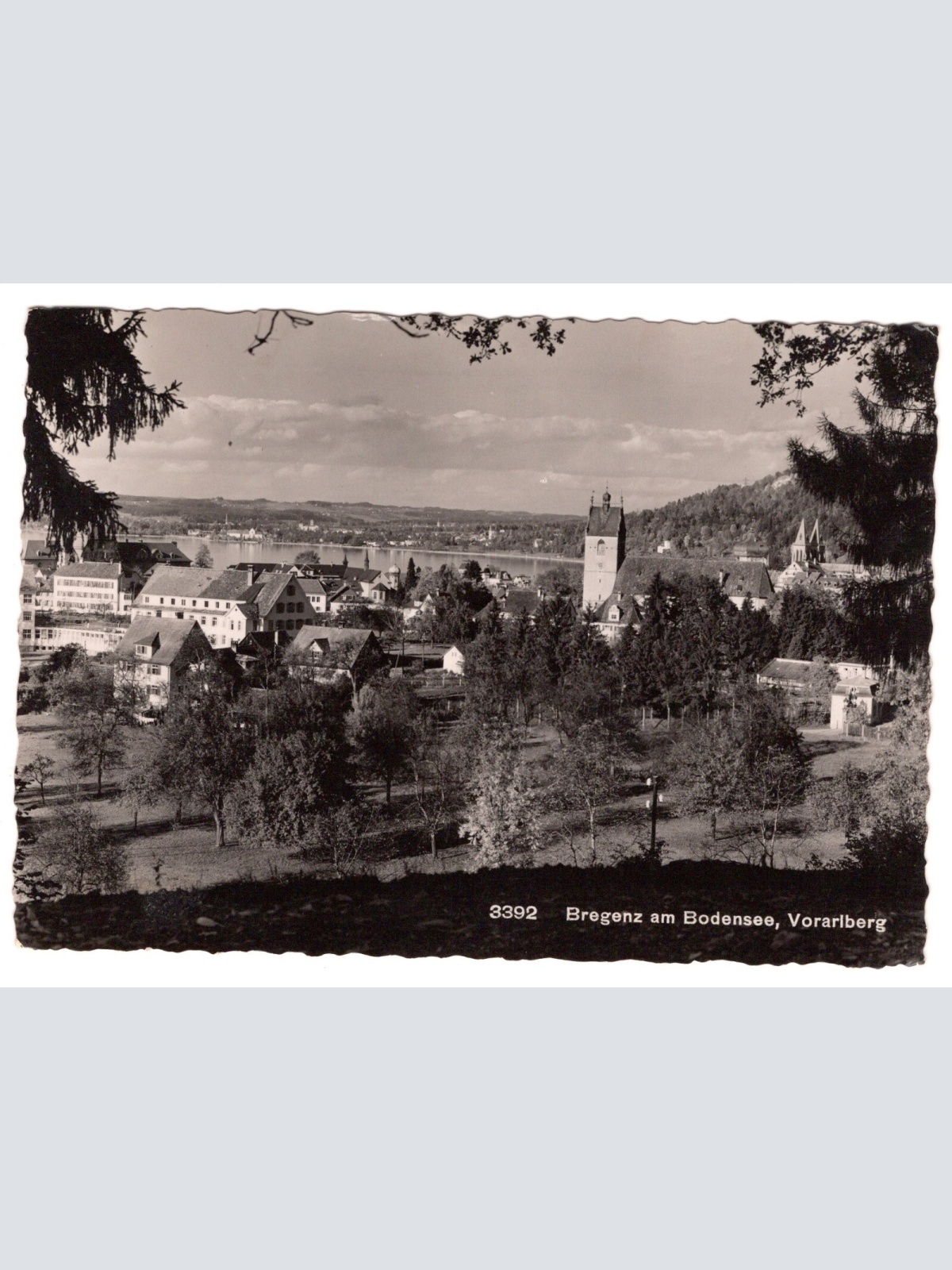 AK, Bregenz am Bodensee, Vorarlberg, Ansichtskarte (S5345)