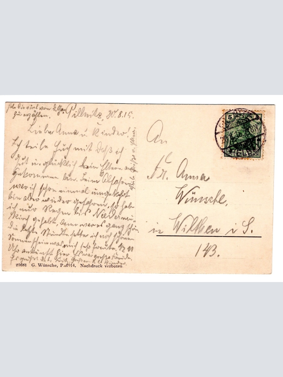 AK, Pillnitz, Kgl. Schloss, Sachsen, Ansichtskarte (S5513)