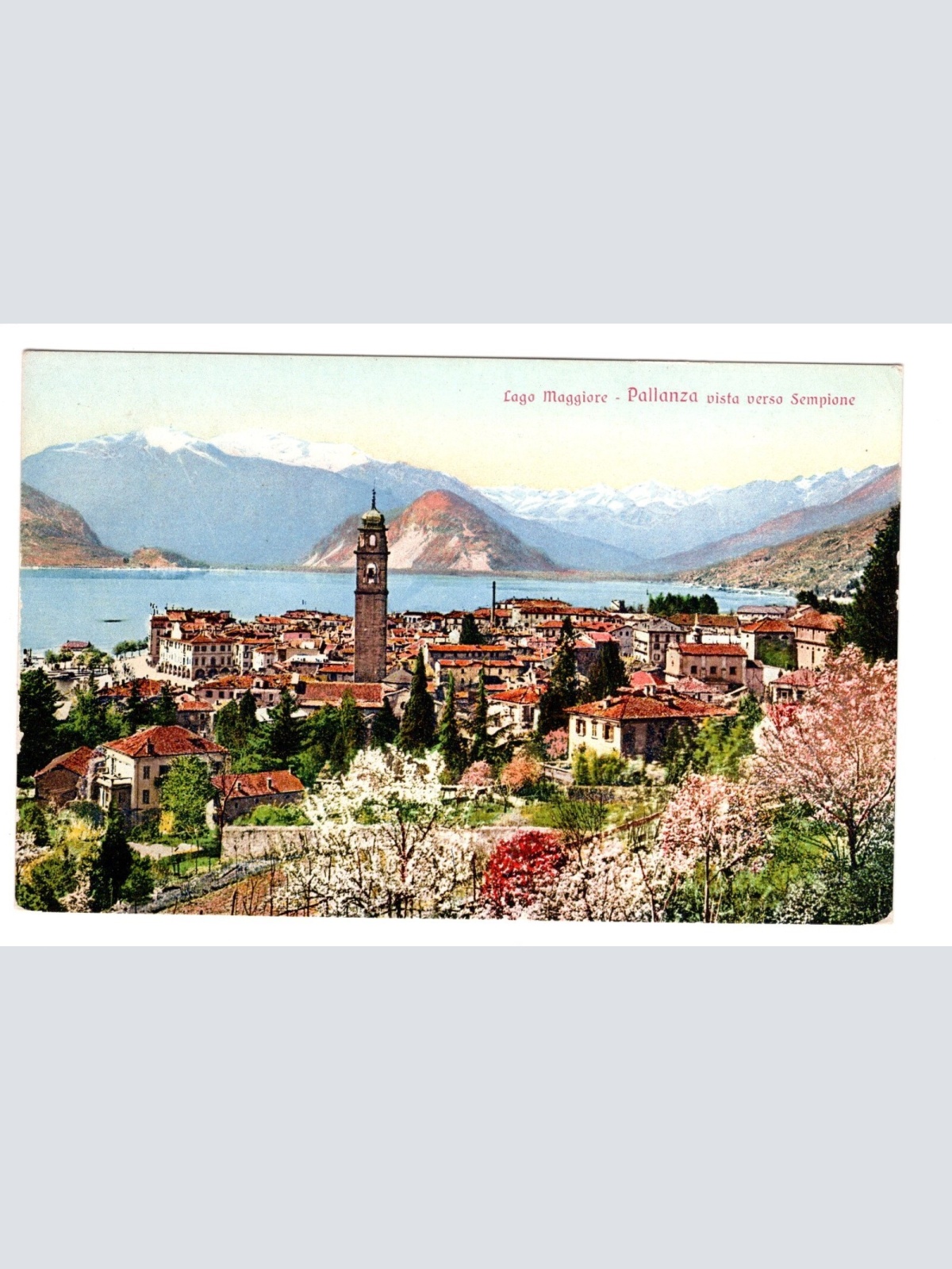 AK, Lago Maggiore, Pallanza, Italien, Ansichtskarte (S5704)
