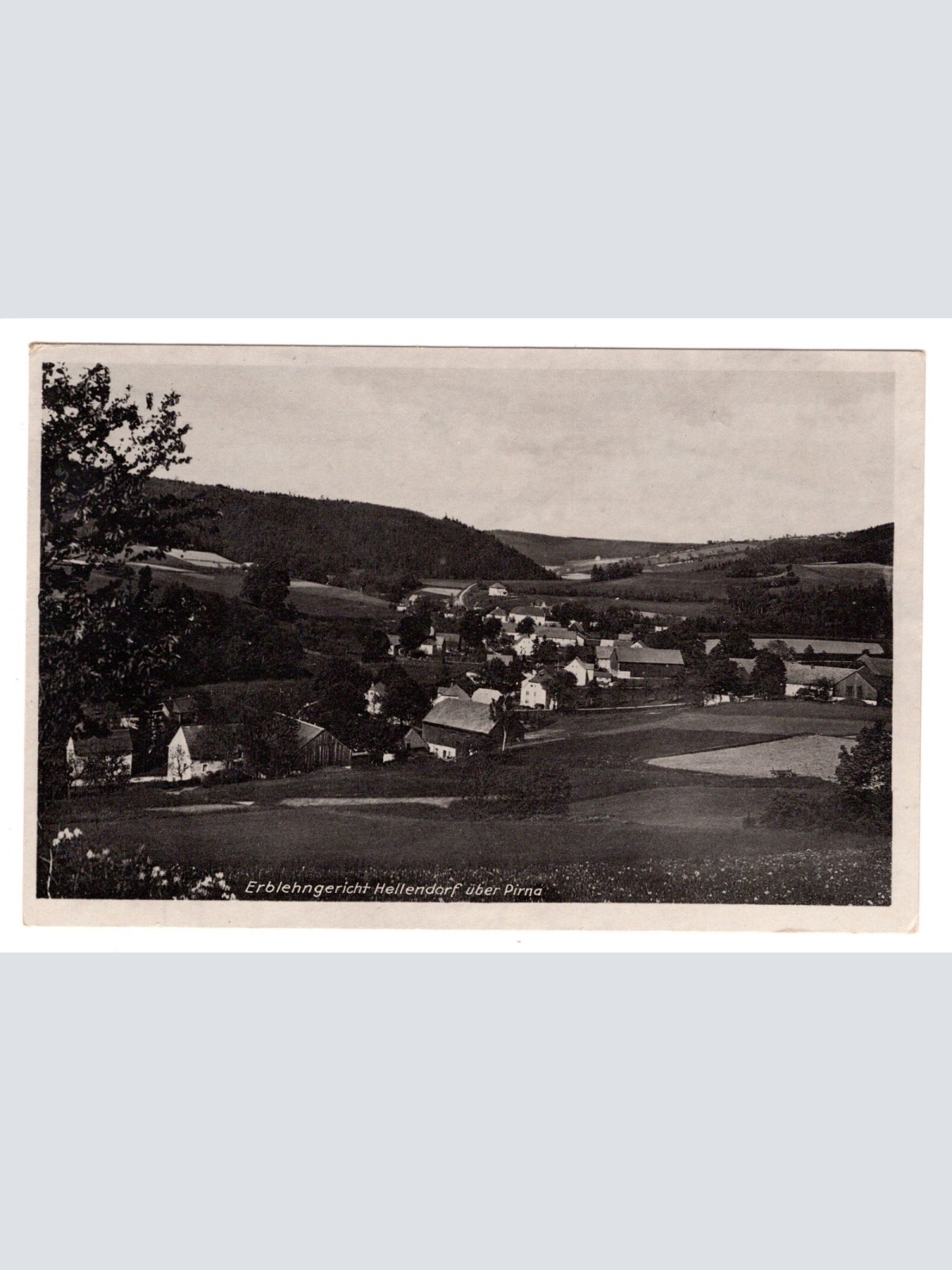 AK, Pirna, Sachsen, Ansichtskarte (S5728)