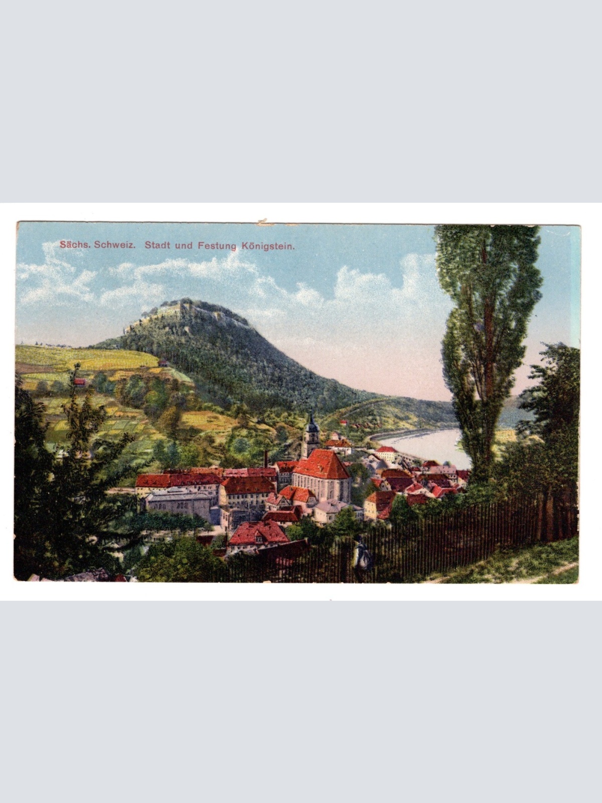 AK, Königstein, Sachsen, Ansichtskarte (S5735)