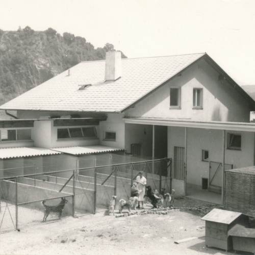 AK aus Linz mit Tierheim Oberösterreich Ansichtskarte (14151)