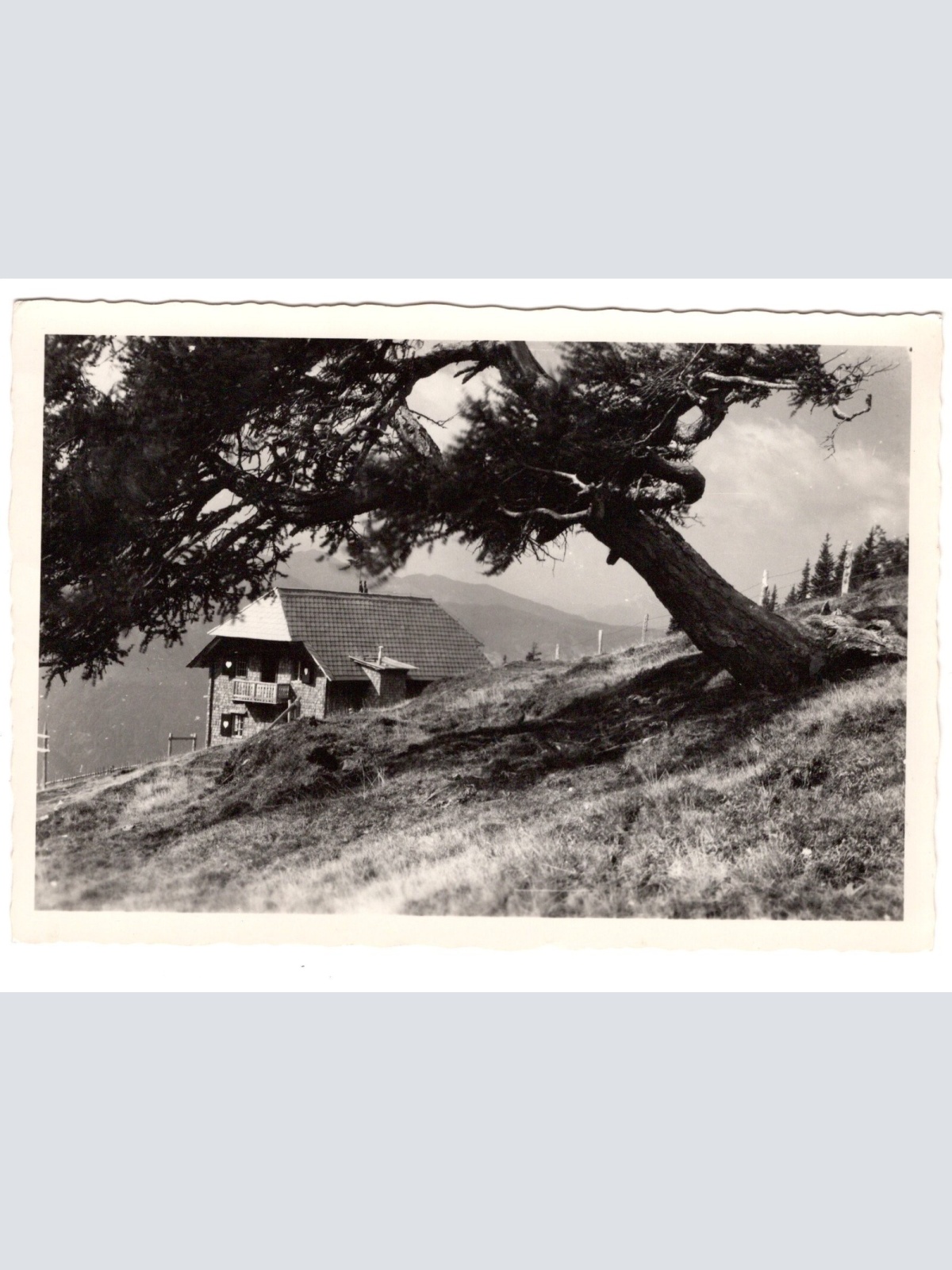 AK, Alexanderhütte, Millstatt, Kärnten, Ansichtskarte (S5758)