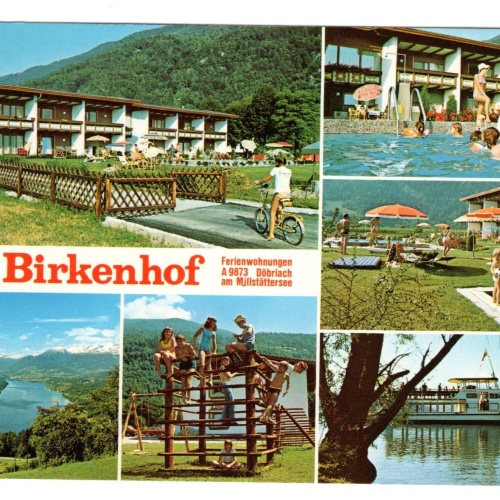 AK, Döbriach am Millstättersee, Birkenhof, Kärnten, Ansichtskarte (S5764)
