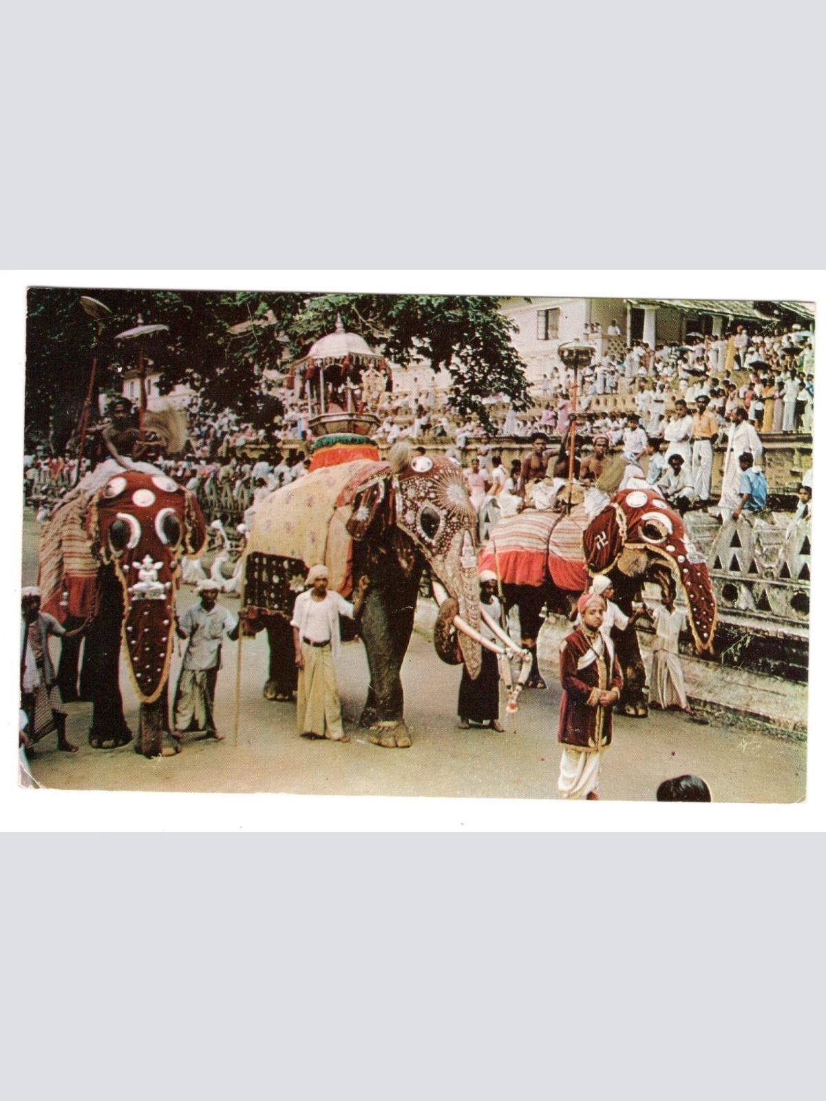 AK, Sri Lanka, Ceylon, Ansichtskarte (S5789)