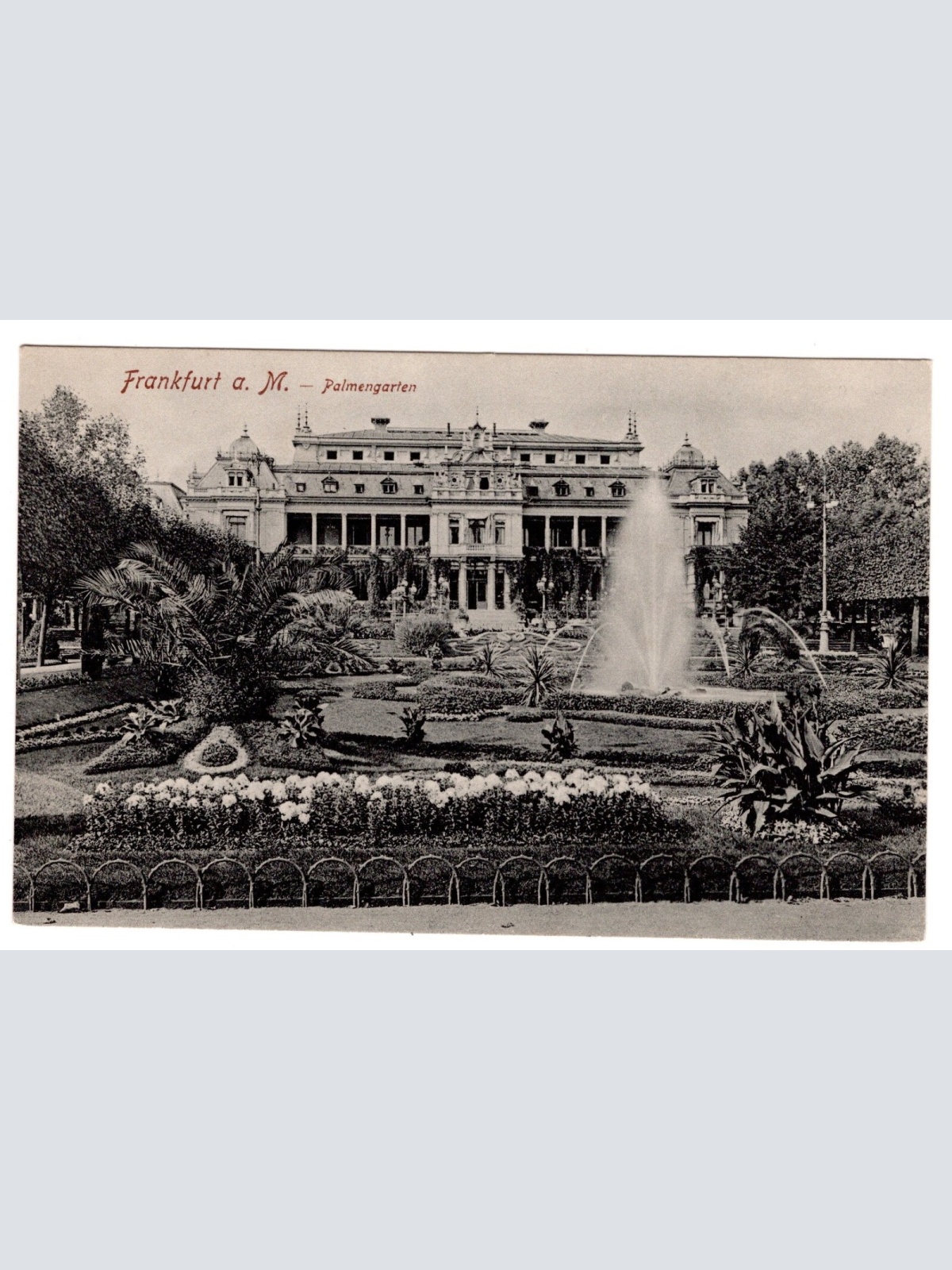 AK, Frankfurt am Main, Palmengarten, Hessen, Ansichtskarte (S5833)