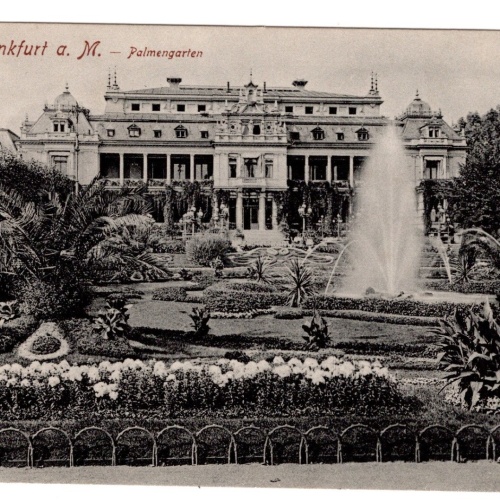 AK, Frankfurt am Main, Palmengarten, Hessen, Ansichtskarte (S5833)