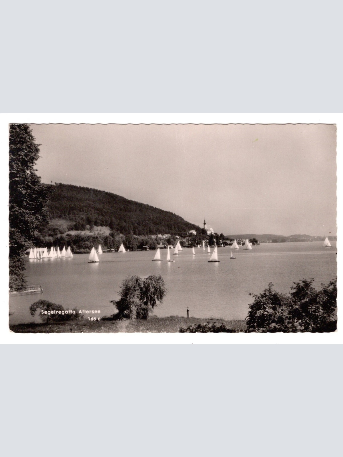 AK, Segelregatta Attersee, Oberösterreich, Ansichtskarte (S5845)